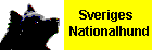 Svensk Lapphund - Sveriges nationalhund